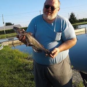 Meet your Posher, Michael a.